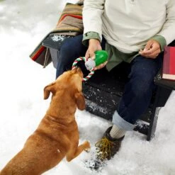 Frisco Holiday Christmas Light Rope With TPR Squeaky Dog Toy -Frisco 233278 PT2. AC SS1800 V1601641574