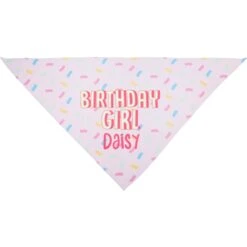Frisco Birthday Girl Personalized Dog & Cat Bandana 11 Frisco Birthday Girl Personalized Dog & Cat Bandana -Frisco 238333 PT3. AC SS1800 V1618509734