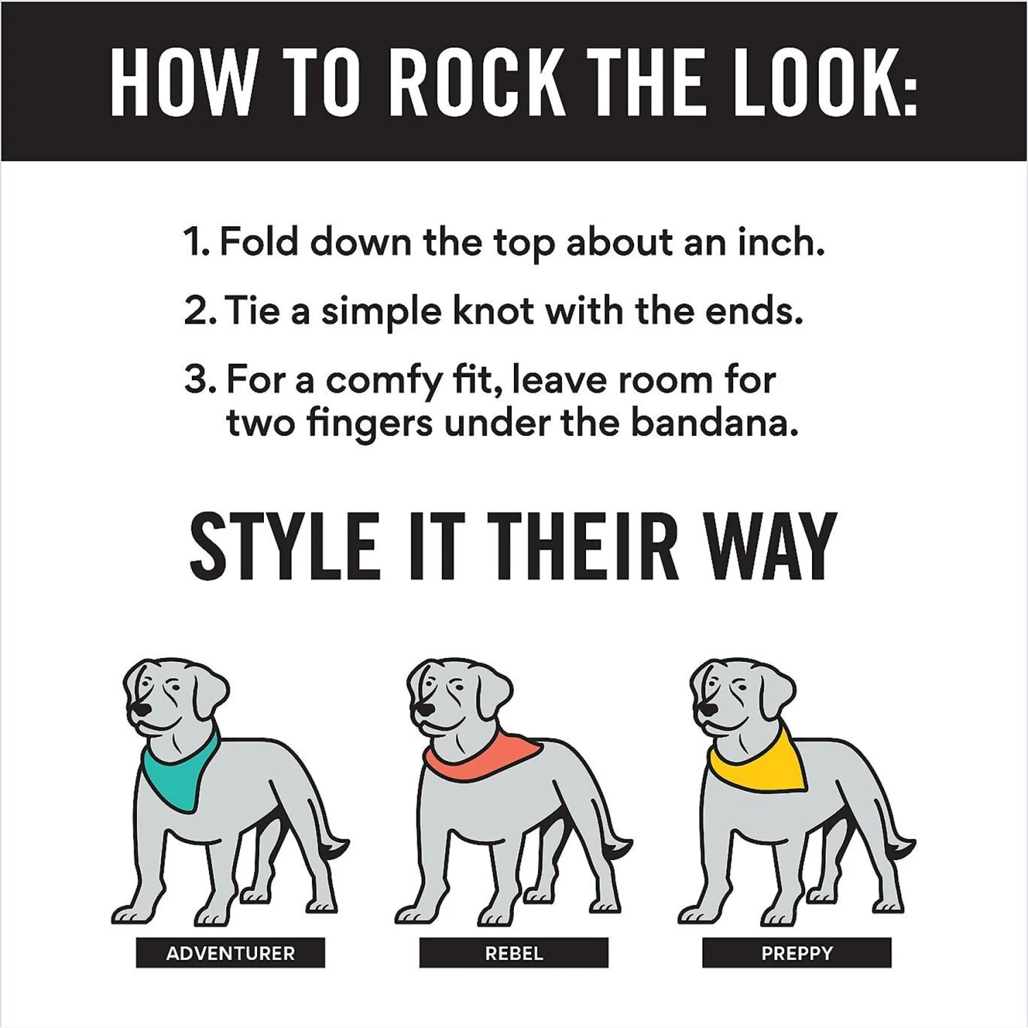 Frisco Hanukkah Personalized Dog & Cat Bandana 3 Frisco Hanukkah Personalized Dog & Cat Bandana - Image 3