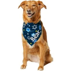 Frisco Hanukkah Personalized Dog & Cat Bandana 14 Frisco Hanukkah Personalized Dog & Cat Bandana -Frisco 242799 PT6. AC SS1800 V1618511253