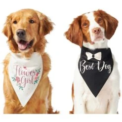 Frisco Wedding Reversible Dog & Cat Bandana 11 Frisco Wedding Reversible Dog & Cat Bandana -Frisco 248712 PT2. AC SS1800 V1632429387