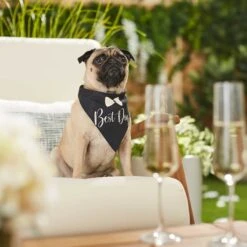 Frisco Wedding Reversible Dog & Cat Bandana 14 Frisco Wedding Reversible Dog & Cat Bandana -Frisco 248712 PT5. AC SS1800 V1632432987