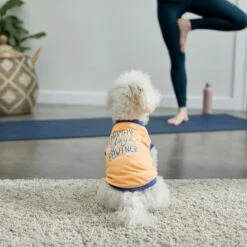 Frisco Mama's Yoga Pawtner Dog & Cat T-Shirt 11 Frisco Mama's Yoga Pawtner Dog & Cat T-Shirt -Frisco 248966 PT7. AC SS1800 V1614201756