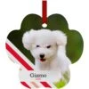 Frisco Peppermint Stripes Paw Shape Metal Personalized Dog & Cat Holiday Ornament