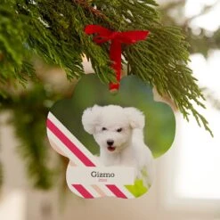 Frisco Peppermint Stripes Paw Shape Metal Personalized Dog & Cat Holiday Ornament 7 Frisco Peppermint Stripes Paw Shape Metal Personalized Dog & Cat Holiday Ornament -Frisco 249371 PT3. AC SS1800 V1608343662