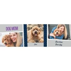 Frisco Double Walled "Dog Mom" Personalized Tumbler, 30-oz Cup -Frisco 250741 PT2. AC SS1800 V1602689509