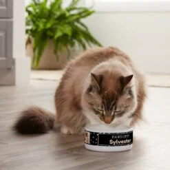 Frisco "Paws Off" Ceramic Personalized Dog & Cat Bowl 7 Frisco "Paws Off" Ceramic Personalized Dog & Cat Bowl -Frisco 250829 PT3. AC SS1800 V1610767170