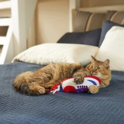 Frisco Baseball Cleat Cat Toy -Frisco 252734 PT5. AC SS1800 V1615814504