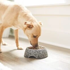 Frisco Black Marble Design Stainless Steel Dog & Cat Bowl 11 Frisco Black Marble Design Stainless Steel Dog & Cat Bowl -Frisco 253048 PT2. AC SS1800 V1616526446