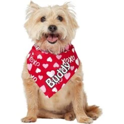 Frisco XOXO Hearts Personalized Dog & Cat Bandana -Frisco 254203 PT6. AC SS1800 V1632427913