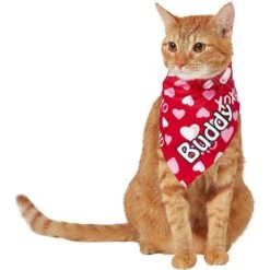 Frisco XOXO Hearts Personalized Dog & Cat Bandana -Frisco 254203 PT7. AC SS1800 V1632417974