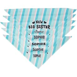 Frisco Big Sister Personalized Dog & Cat Bandana 13 Frisco Big Sister Personalized Dog & Cat Bandana -Frisco 254235 PT4. AC SS1800 V1619558530