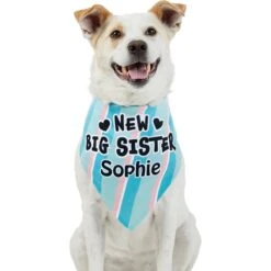 Frisco Big Sister Personalized Dog & Cat Bandana 15 Frisco Big Sister Personalized Dog & Cat Bandana -Frisco 254235 PT6. AC SS1800 V1619558258