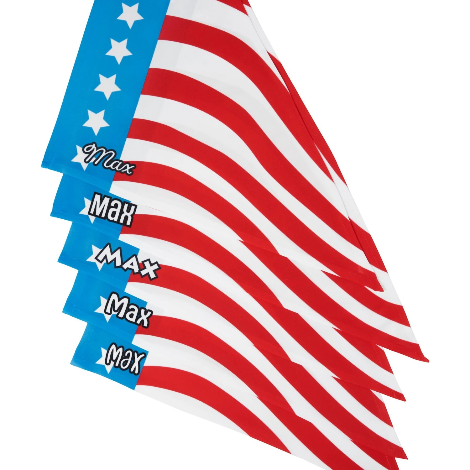 Frisco Americana Personalized Dog & Cat Bandana 5 Frisco Americana Personalized Dog & Cat Bandana - Image 5