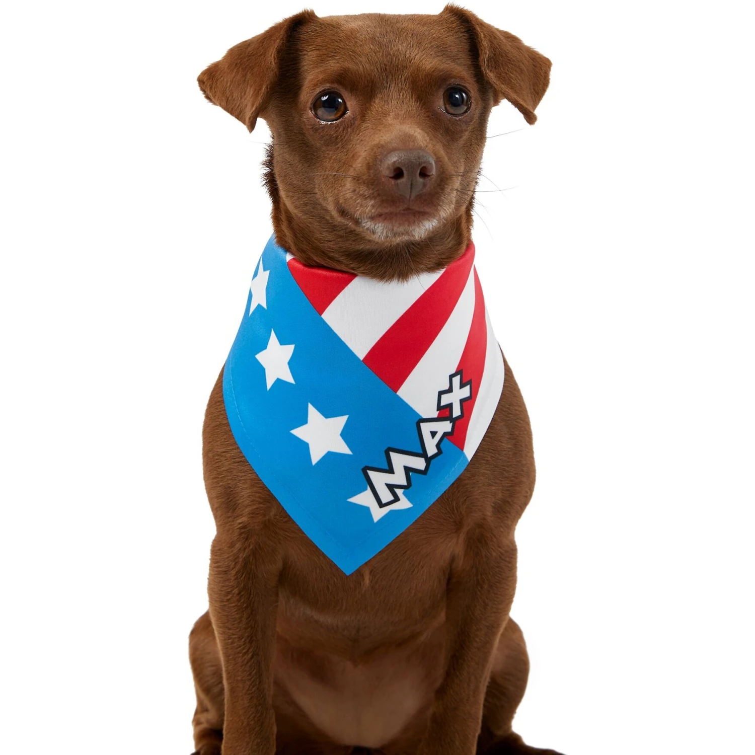 Frisco Americana Personalized Dog & Cat Bandana 7 Frisco Americana Personalized Dog & Cat Bandana - Image 7