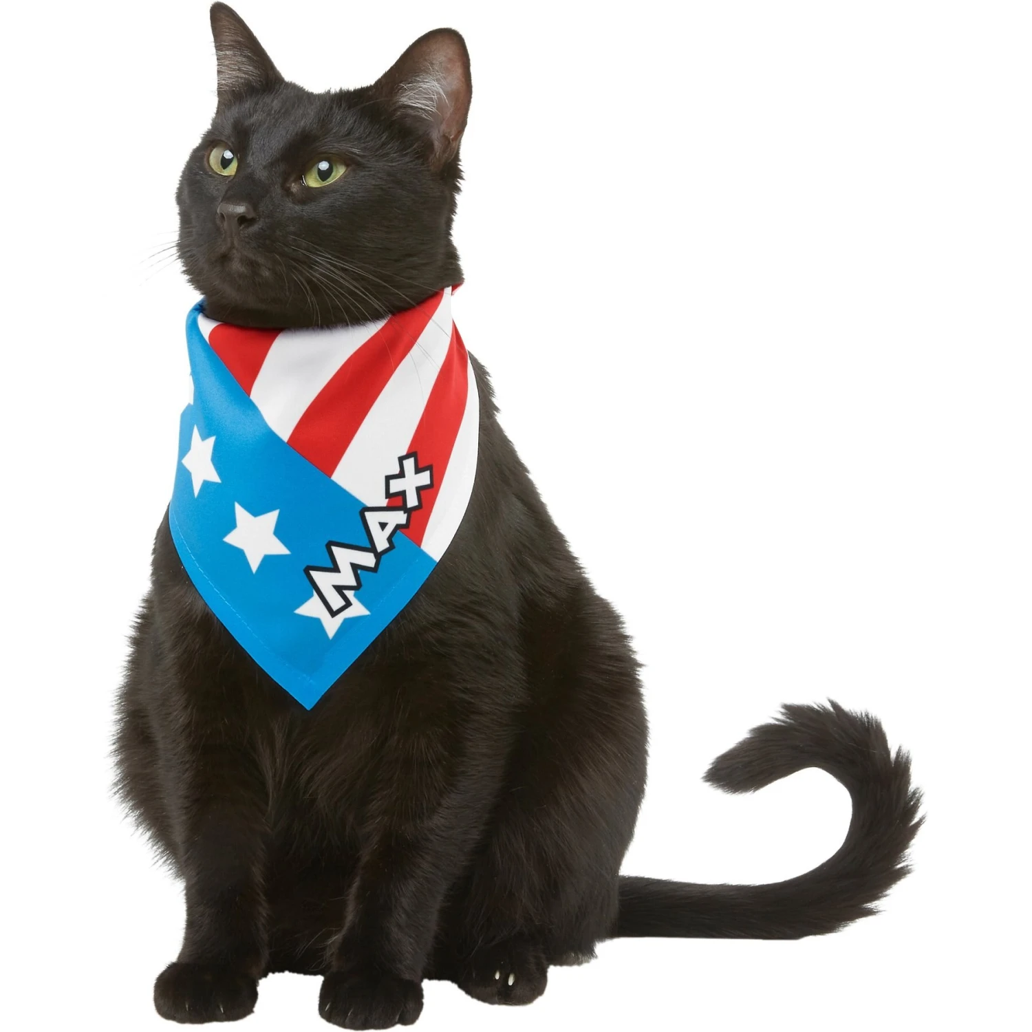 Frisco Americana Personalized Dog & Cat Bandana 8 Frisco Americana Personalized Dog & Cat Bandana - Image 8
