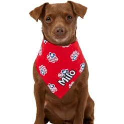 Frisco Patriotic Paws Personalized Dog & Cat Bandana -Frisco 254243 PT6. AC SS1800 V1619557657