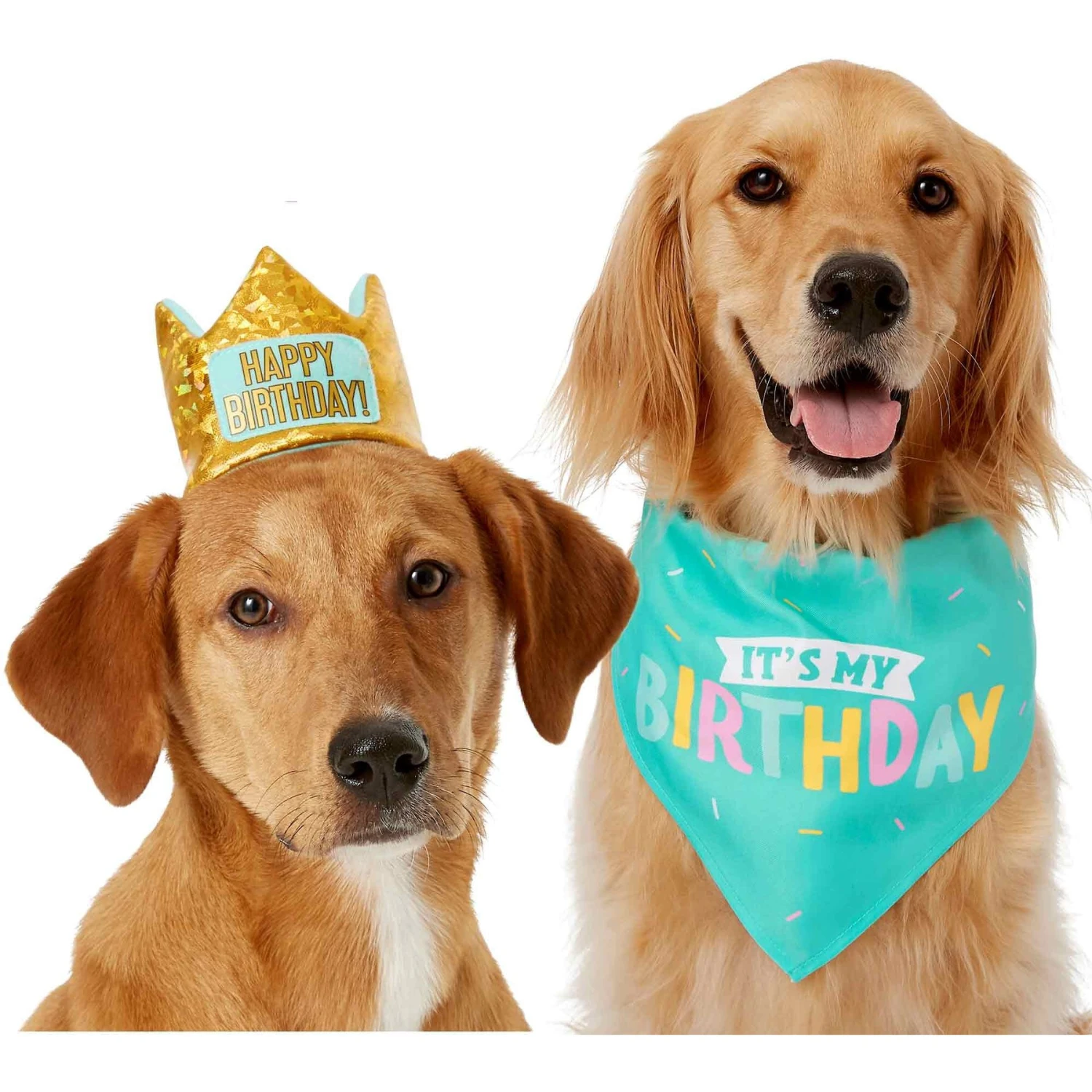 Frisco Happy Birthday Dog & Cat Crown & Frisco Dog & Cat Birthday Bandana 1 Frisco Happy Birthday Dog & Cat Crown & Frisco Dog & Cat Birthday Bandana