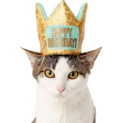 Frisco Happy Birthday Dog & Cat Crown & Frisco Dog & Cat Birthday Bandana 7 Frisco Happy Birthday Dog & Cat Crown & Frisco Dog & Cat Birthday Bandana -Frisco 255523 PT2. AC SS1800 V1603716120