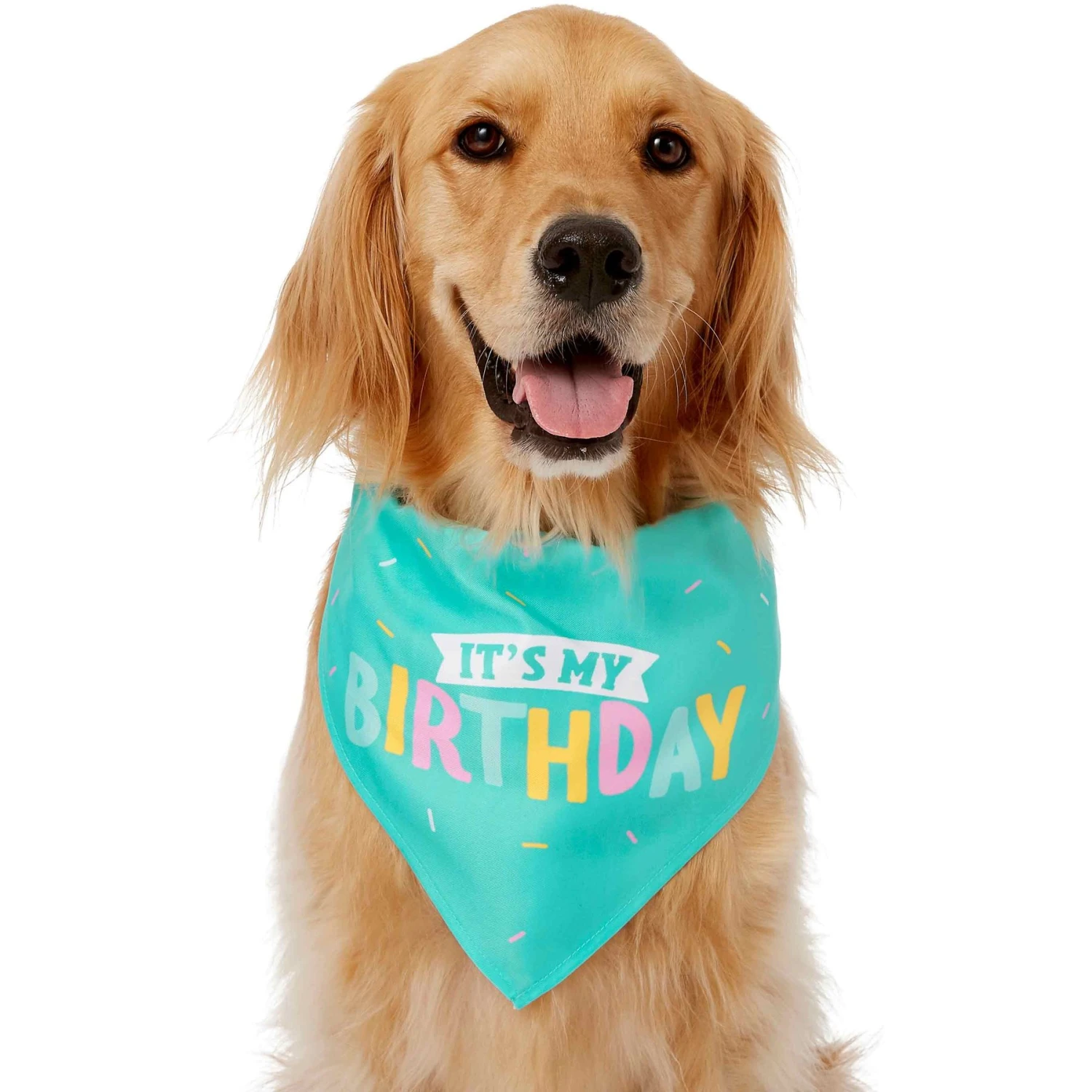 Frisco Happy Birthday Dog & Cat Crown & Frisco Dog & Cat Birthday Bandana 4 Frisco Happy Birthday Dog & Cat Crown & Frisco Dog & Cat Birthday Bandana - Image 4