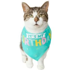 Frisco Happy Birthday Dog & Cat Crown & Frisco Dog & Cat Birthday Bandana 9 Frisco Happy Birthday Dog & Cat Crown & Frisco Dog & Cat Birthday Bandana -Frisco 255523 PT4. AC SS1800 V1603716120