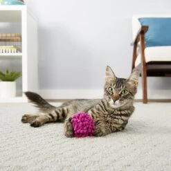 Frisco Moppy Ball Cat Toy With Catnip & Frisco Moppy Ball Cat Toy With Catnip 9 Frisco Moppy Ball Cat Toy With Catnip & Frisco Moppy Ball Cat Toy With Catnip -Frisco 255585 PT4. AC SS1800 V1602691598