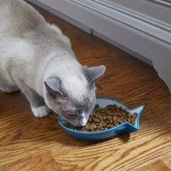 Frisco Fish Shaped Non-skid Ceramic Cat Dish 10 Frisco Fish Shaped Non-skid Ceramic Cat Dish -Frisco 256109 PT3. AC SS1800 V1617196297