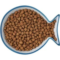 Frisco Fish Shaped Non-skid Ceramic Cat Dish 13 Frisco Fish Shaped Non-skid Ceramic Cat Dish -Frisco 256109 PT6. AC SS1800 V1617196895