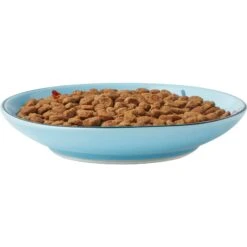 Frisco New York Non-skid Ceramic Cat Dish 12 Frisco New York Non-skid Ceramic Cat Dish -Frisco 256119 PT5. AC SS1800 V1618494742