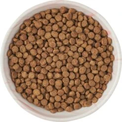 Frisco Marble Design Non-skid Ceramic Cat Dish -Frisco 256127 PT5. AC SS1800 V1615321285