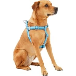 Frisco Outdoor Two Tone Waterproof Stinkproof PVC Dog Harness 7 Frisco Outdoor Two Tone Waterproof Stinkproof PVC Dog Harness -Frisco 256580 PT2. AC SS1800 V1625164701