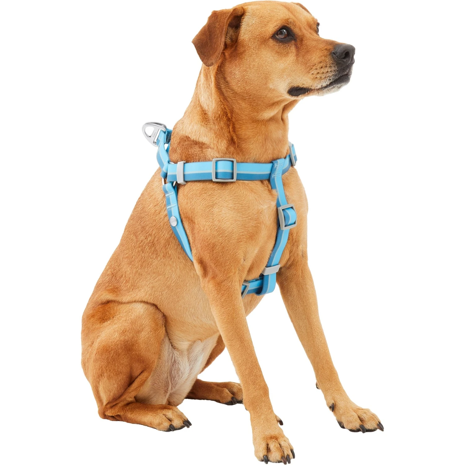 Frisco Outdoor Two Tone Waterproof Stinkproof PVC Dog Harness 3 Frisco Outdoor Two Tone Waterproof Stinkproof PVC Dog Harness - Image 3