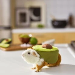 Frisco Avocado Guinea Pig Costume, One Size 9 Frisco Avocado Guinea Pig Costume, One Size -Frisco 261095 PT8. AC SS1800 V1624454728