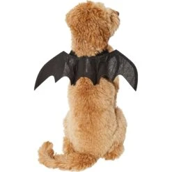 Frisco Bat Wings Dog & Cat Costume 8 Frisco Bat Wings Dog & Cat Costume -Frisco 261113 PT2. AC SS1800 V1625077070