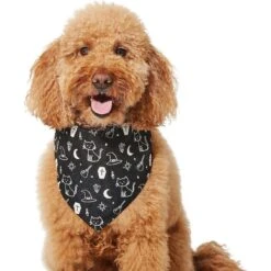 Frisco Glow In The Dark Mystical Print Dog & Cat Bandana -Frisco 261218 PT3. AC SS1800 V1633068720