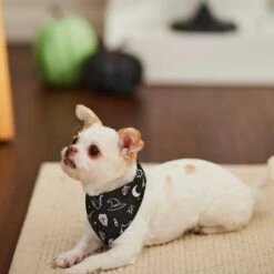 Frisco Glow In The Dark Mystical Print Dog & Cat Bandana -Frisco 261218 PT5. AC SS1800 V1633057869