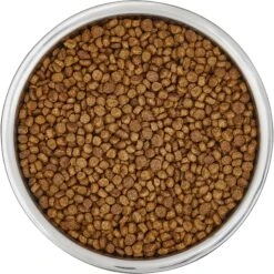 Frisco Insulated Non-Skid Flair Stainless Steel Dog & Cat Bowl 13 Frisco Insulated Non-Skid Flair Stainless Steel Dog & Cat Bowl -Frisco 261753 PT4. AC SS1800 V1623937583