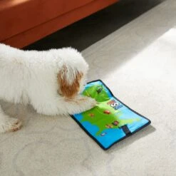 Frisco Road Trip Foldable Map Flat Plush Squeaky Dog Toy -Frisco 261998 PT4. AC SS1800 V1619791937
