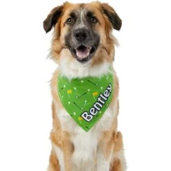 Frisco Golf Personalized Dog & Cat Bandana 15 Frisco Golf Personalized Dog & Cat Bandana -Frisco 263017 PT6. AC SS1800 V1619557636