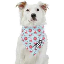 Frisco Watermelons Personalized Dog & Cat Bandana 15 Frisco Watermelons Personalized Dog & Cat Bandana -Frisco 267458 PT6. AC SS1800 V1632432415