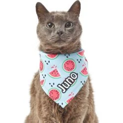 Frisco Watermelons Personalized Dog & Cat Bandana 16 Frisco Watermelons Personalized Dog & Cat Bandana -Frisco 267458 PT7. AC SS1800 V1632432684