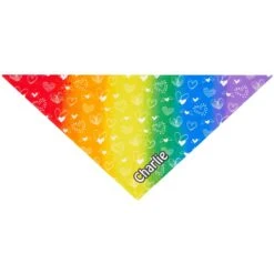 Frisco Rainbow Hearts Personalized Dog & Cat Bandana 11 Frisco Rainbow Hearts Personalized Dog & Cat Bandana -Frisco 267539 PT2. AC SS1800 V1632687993