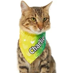 Frisco Rainbow Hearts Personalized Dog & Cat Bandana 15 Frisco Rainbow Hearts Personalized Dog & Cat Bandana -Frisco 267539 PT6. AC SS1800 V1632420703
