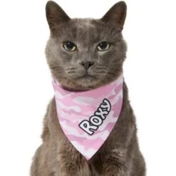 Frisco Pink Camo Personalized Dog & Cat Bandana 15 Frisco Pink Camo Personalized Dog & Cat Bandana -Frisco 267567 PT8. AC SS1800 V1623164559