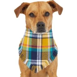Frisco Blue/Yellow Plaid Dog & Cat Flannel Bandana 10 Frisco Blue/Yellow Plaid Dog & Cat Flannel Bandana -Frisco 267901 PT2. AC SS1800 V1637717796