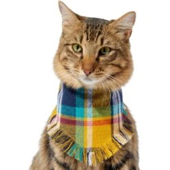Frisco Blue/Yellow Plaid Dog & Cat Flannel Bandana 11 Frisco Blue/Yellow Plaid Dog & Cat Flannel Bandana -Frisco 267901 PT3. AC SS1800 V1637677287