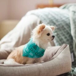 Frisco Geometric Dog & Cat Bandana 13 Frisco Geometric Dog & Cat Bandana -Frisco 267907 PT5. AC SS1800 V1637652153