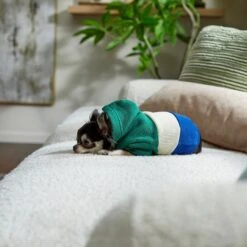 Frisco Colorblock Dog & Cat Hoodie With Sleeves -Frisco 267968 PT8. AC SS1800 V1629760135