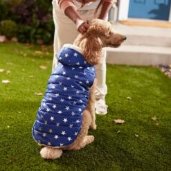 Frisco Mediumweight Metallic Star Print Insulated Dog & Cat Parka, Navy 13 Frisco Mediumweight Metallic Star Print Insulated Dog & Cat Parka, Navy -Frisco 268413 PT8. AC SS1800 V1629757357