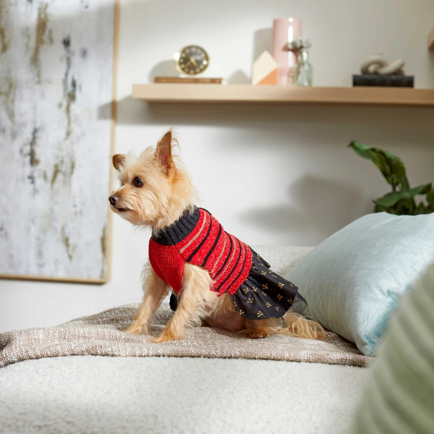 Frisco Chenille Knit Striped Dog & Cat Dress 6 Frisco Chenille Knit Striped Dog & Cat Dress - Image 6